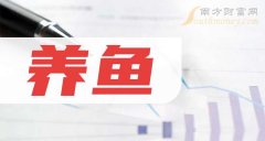 配资 养鱼的龙头股有哪些？（2024/12/19）