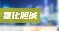 配资平台开户 氯化胆碱有哪些值得关注的公司（12月25日）